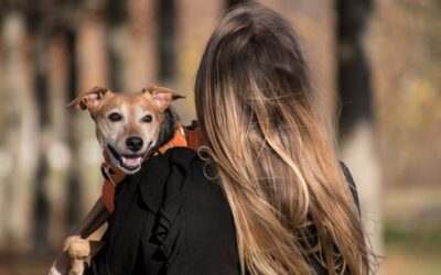 Umzug mit Haustieren: So gelingt der stressfreie Tapetenwechsel