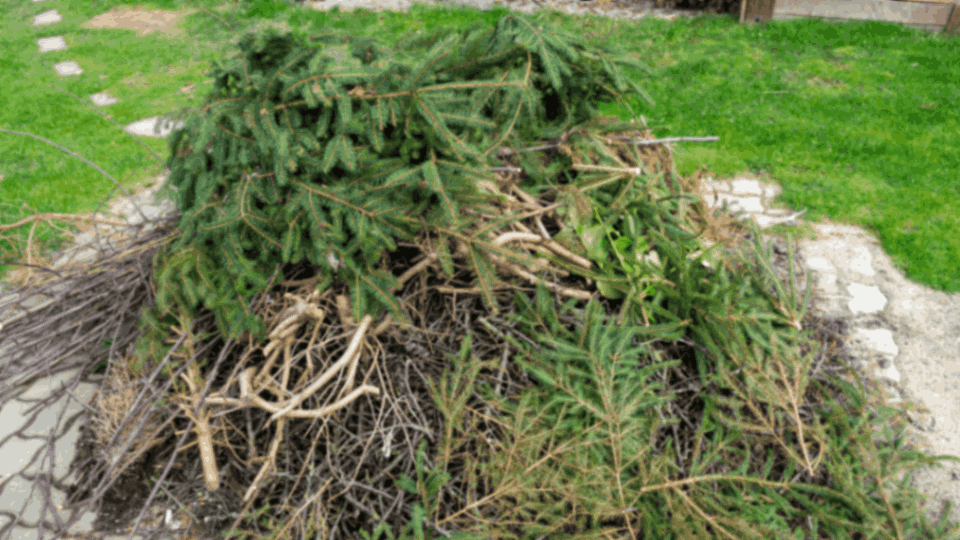 Gartenabfälle entsorgen